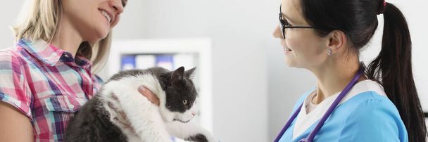 診療所で獣医師の前で猫を飼っている女 - 写真・画像