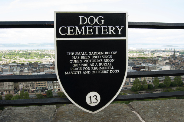 Pies cmentarza na zamek w Edynburgu - Zdjęcie, obraz