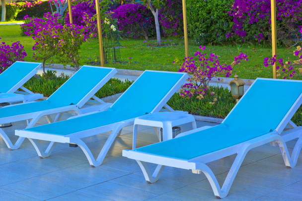blue lounge chair in the garden at the pool - Photo, Image