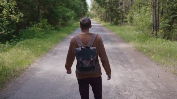 Een toerist met een rugzak loopt langs de weg in een bosgebied, rondkijkend. Achteraanzicht - Video