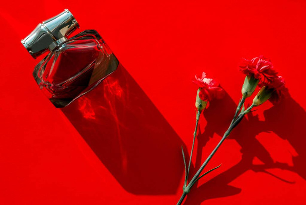 Red carnation flower, perfume bottle on a red background with hard shadows - Foto, Imagem