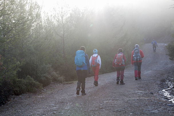  Natura spacery grupy chodzenie po ścieżce jesienią lub zimą koncepcja zdrowego stylu życia. - Zdjęcie, obraz