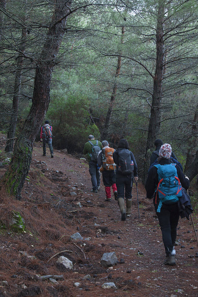  Naturwandergruppe wandert im Herbst oder Winter auf Wanderweg für gesunden Lebensstil. - Foto, Bild