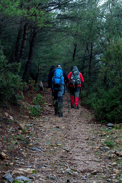  Natura camminata di gruppo camminando sul sentiero in autunno o in inverno concetto per uno stile di vita sano. - Foto, immagini