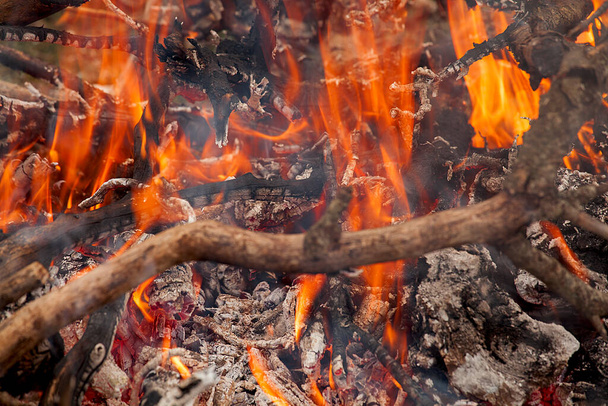 Quemar fuego en la naturaleza. Otoño o invierno concepto naturaleza paseos. - Foto, imagen