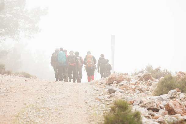  Naturwandergruppe wandert im Herbst oder Winter auf Wanderweg für gesunden Lebensstil. - Foto, Bild