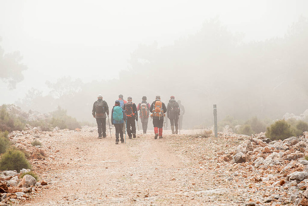  Grupo de caminhada na natureza caminhando no caminho no outono ou conceito de inverno para um estilo de vida saudável. - Foto, Imagem
