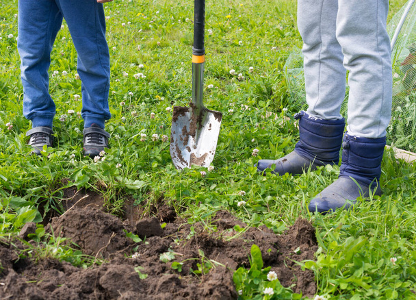 adulti e un bambino stanno scavando una buca nel giardino di una casa di campagna. copia spazio. - Foto, immagini