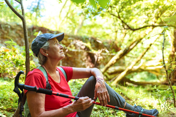 mujer mayor con gorra y camiseta roja se toma un descanso durante una caminata en la mujer de la soldadura de madera con gorra y camiseta roja se toma un descanso durante una caminata en el bosque - Foto, imagen