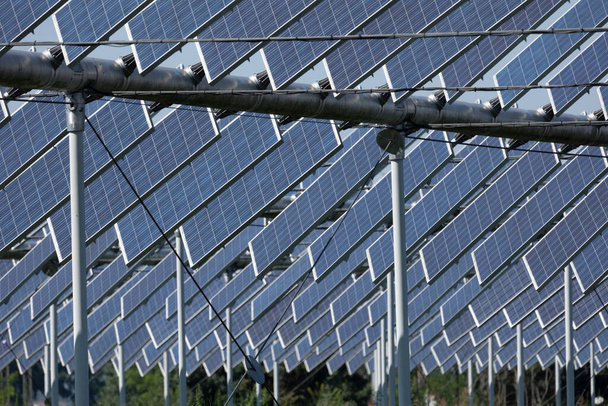 Agrivoltaica o agrofotovoltaica está co-desarrollando la misma área de tierra tanto para energía solar fotovoltaica como para agricultura. - Foto, Imagen