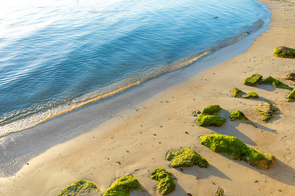 Large stones overgrown with green algae on a sandy beach near the ocean. The nature of the tropics - Fotoğraf, Görsel