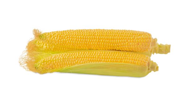 Žluté uši kukuřice se stigmatem a listy izolované na bílém pozadí. - Fotografie, Obrázek