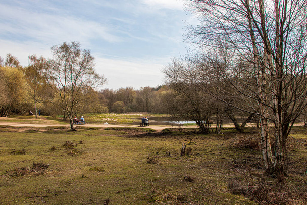 Sutton Park West Midlands England. Landschaft an einem sonnigen Tag über einem Wasserbecken.  - Foto, Bild