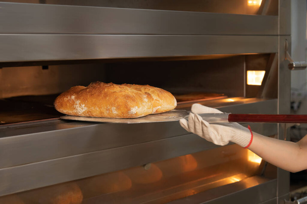 Female hands in gloves hold a shovel with a loaf of artisan bread. He takes fresh hot bread out of the oven. Homemade bread production - Foto, imagen