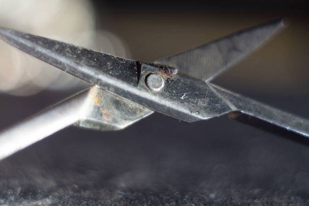 A closeup shot of a scissors - Photo, Image