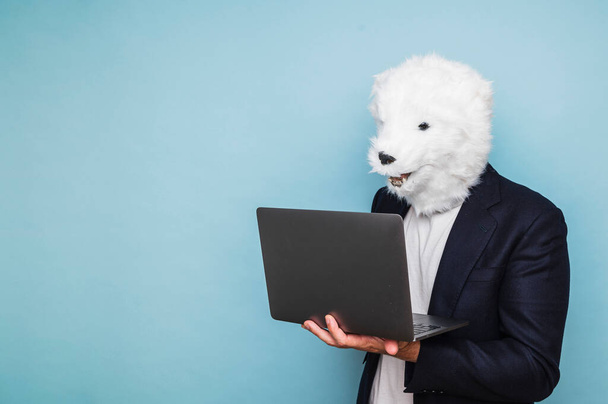 Άντρας με μάσκα πολικής αρκούδας χρησιμοποιεί φορητό υπολογιστή.. - Φωτογραφία, εικόνα
