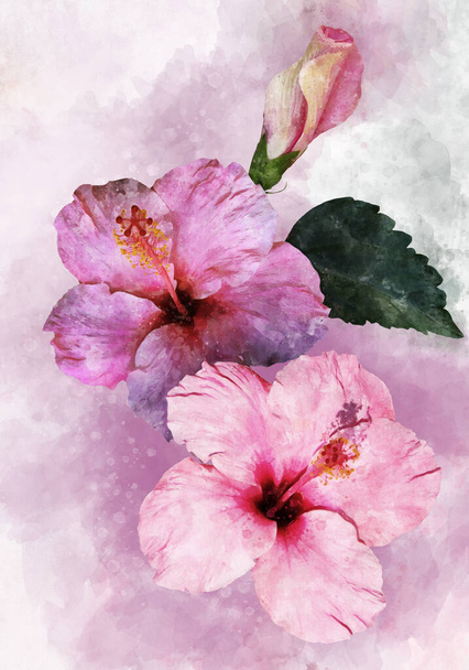 Aquarell-Gemälde von zwei leuchtend rosa Hibiskusblüten. Botanische Illustration - Foto, Bild