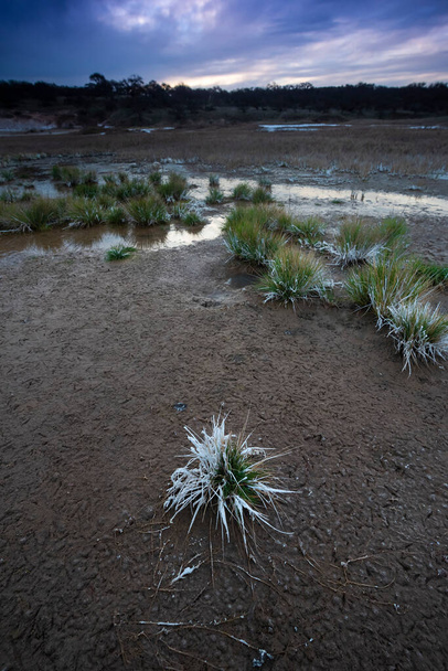 La Pampa, Patagonya, Arjantin 'de yarı çöl bir çevrede bir lagünün zemininde güherçile var.. - Fotoğraf, Görsel