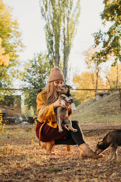 Állati szeretet. Önkéntes nő játszik hajléktalan kölykökkel az őszi parkban. Hiteles pillanatok, amikor egy örömlány kóbor kutyákkal játszik. Az önkéntesség és az állatmenhelyek fogalma - Fotó, kép