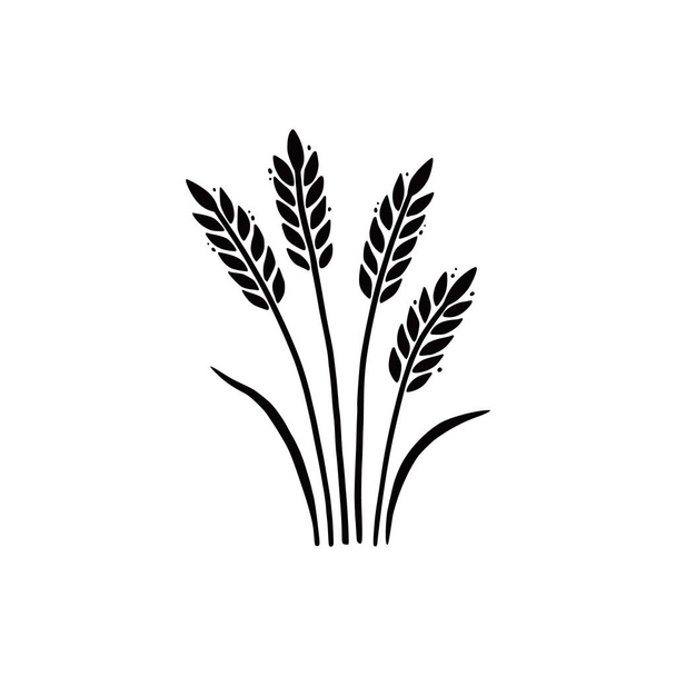 Wheat, barley, rice icon. Hand drawn - Vector, Image