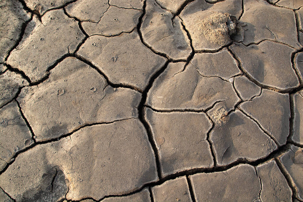 la consistenza dell'argilla refrattaria con grandi fessurazioni.siccità e problemi ambientali - Foto, immagini