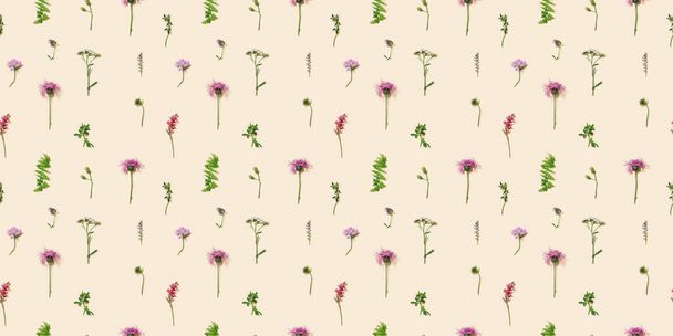 Natural summer wildflowers, meadow herbs and field bloom plants, green grass, small wild blossom, forest thistle flower, fern on pale pink paper background. Flowery seamless pattern, floral layout. - Foto, Bild