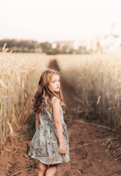 Hermosa niña rubia con pelo largo caminando a través de un campo de trigo - Foto, imagen