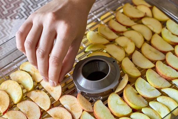 Fille dépose des pommes tranchées dans le séchoir à nourriture. Couper les pommes sur le plateau déshydrateur. Gros plan, foyer sélectif - Photo, image