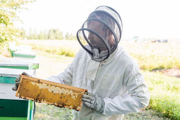 μελισσοκόμος με μελισσοκομική στολή που κρατά πλαίσιο κηρήθρας με μέλισσες στο μελισσοκομείο - Φωτογραφία, εικόνα