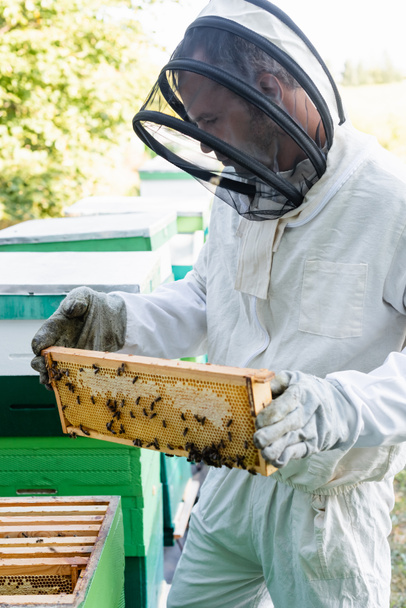 apiarist in beekeeping suit holding frame with honeycomb and bees on apiary - Photo, Image