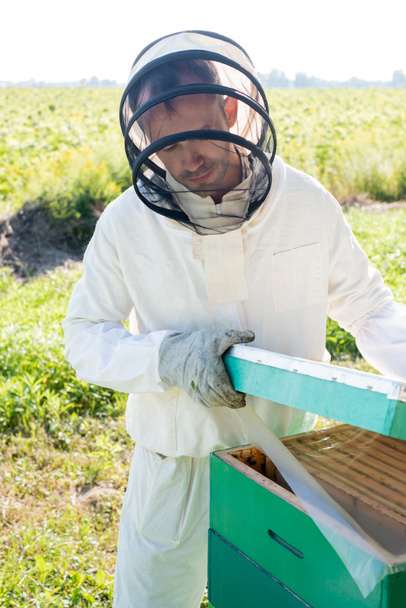 μελισσοκόμος σε προστατευτική στολή και κράνος με πέπλο άνοιγμα κυψέλη στο μελισσοκομείο - Φωτογραφία, εικόνα