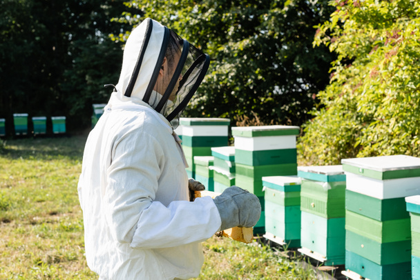 apicultor en traje de apicultura y casco con velo que sostiene panal cerca de colmenas en el colmenar - Foto, Imagen