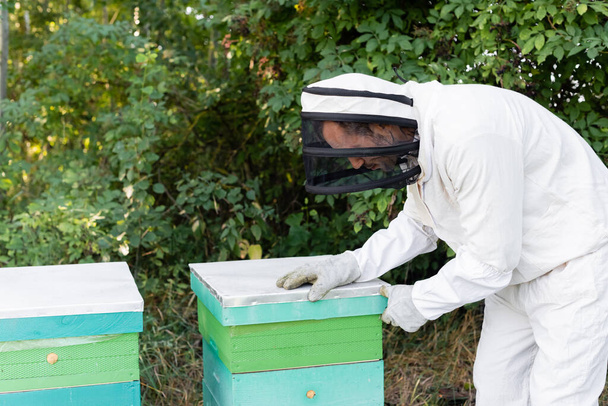 bij meester in veiligheidspak en helm opening bijenkorf op bijenstal - Foto, afbeelding