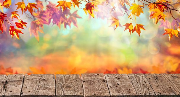 oranžové podzimní listy, podzimní přírodní pozadí - Fotografie, Obrázek