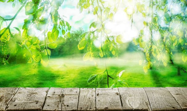 Houten tafel en lente bos achtergrond - Foto, afbeelding
