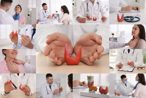 Prevention thyroid diseases. Collage with different photos of doctor and patient - Foto, Imagen