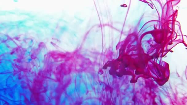 Niebieski i czerwony farba kolor farba krople w wodzie slow motion wideo z miejsca do kopiowania. Inky chmury wirujące pod wodą. 4k - Materiał filmowy, wideo