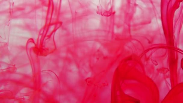 czerwony kolor farby tusz krople w wodzie zwolniony film z miejsca na ksero. Inky chmury wirujące pod wodą. 4k - Materiał filmowy, wideo