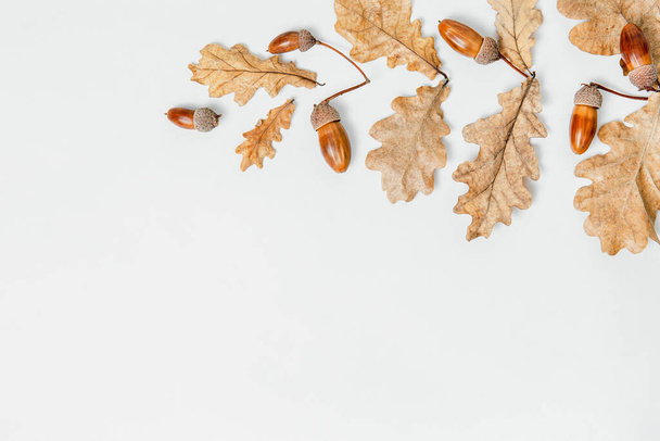 Autumn pattern composition. Acorns, golden aok leaves in branch shape on background. Autumn pattern design element. Flat lay, top view, copy space. - Photo, Image