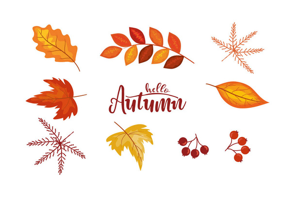 Осенняя коллекция листьев и элементов в плоском стиле. Разные листья, ягоды - Вектор,изображение