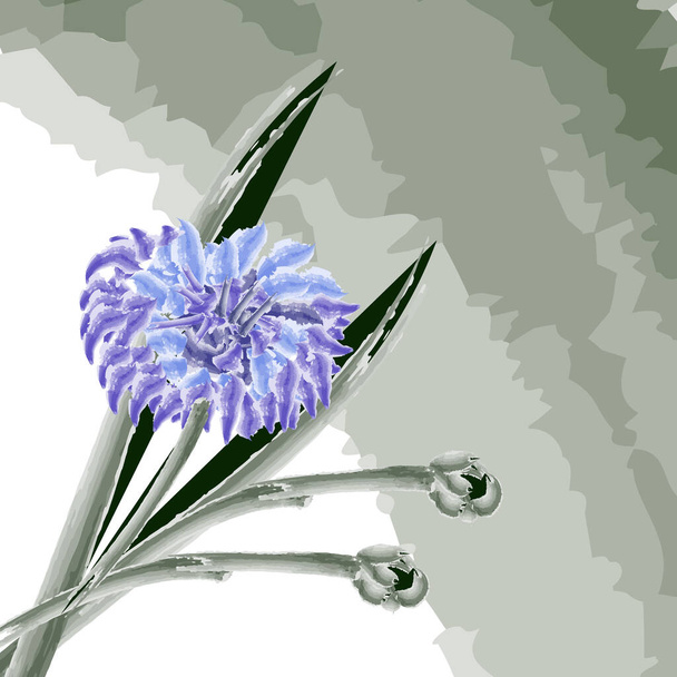 Illustration, Aquarell-Skizze, blaue Aquarell-Kornblumen auf zartem Aquarell-Hintergrund, für Tapeten, Textilien, Banner und Plakate - Vektor, Bild