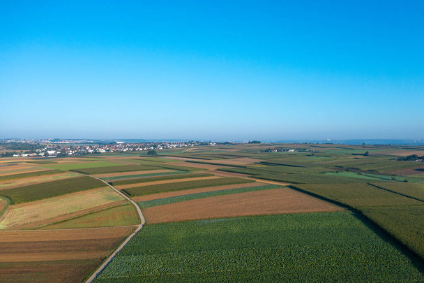 aerial view of fields in autumn on a sunny day - Φωτογραφία, εικόνα