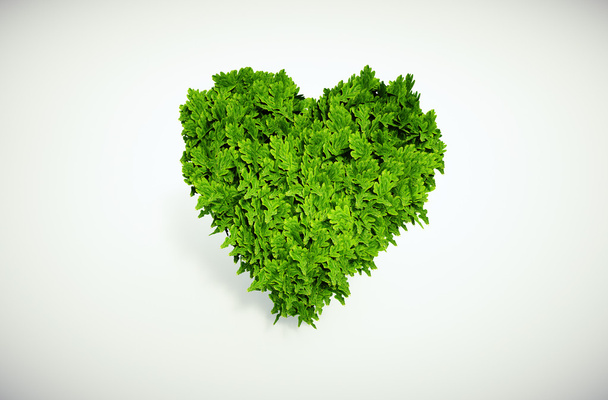 Corazón ecológico
 - Foto, Imagen
