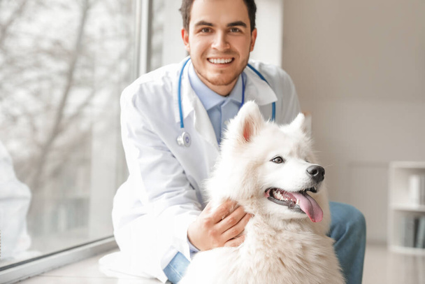 Tierarzt mit süßem Hund in Klinik - Foto, Bild
