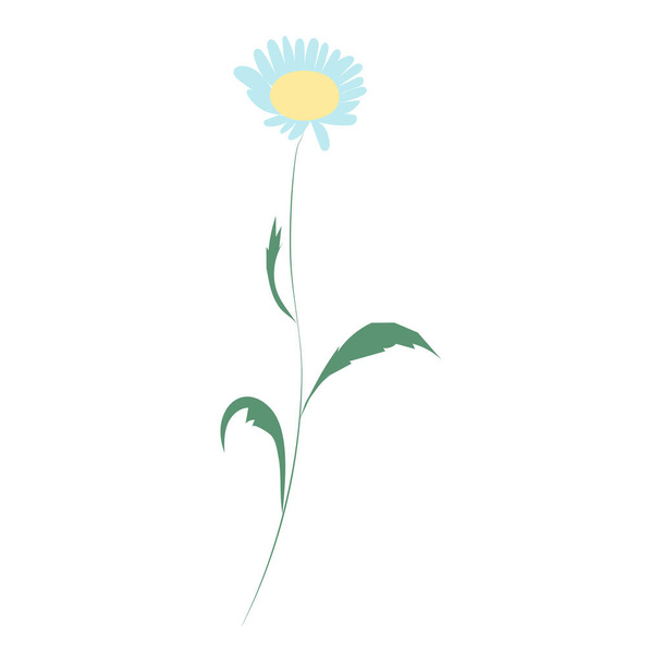 Chamomile flower, line drawing. Daisy wildflowers, outline floral design elements isolated on white background. - Διάνυσμα, εικόνα