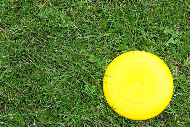 Dışarıdaki çimlerde frizbi diski - Fotoğraf, Görsel