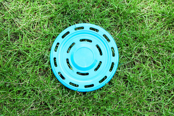 Frisbee δίσκο στο γρασίδι σε εξωτερικούς χώρους - Φωτογραφία, εικόνα