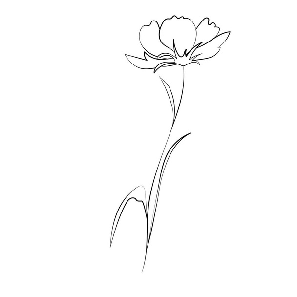 Дикі квіти, окреслюють квіткові елементи дизайну ізольовані на білому тлі. Рука намальовані квіти, бутони і листя
. - Вектор, зображення