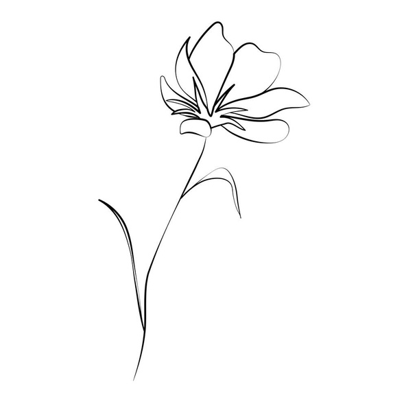 Divoké květy, obrys květinové prvky izolované na bílém pozadí. Ručně kreslené květiny, poupata a listy. - Vektor, obrázek