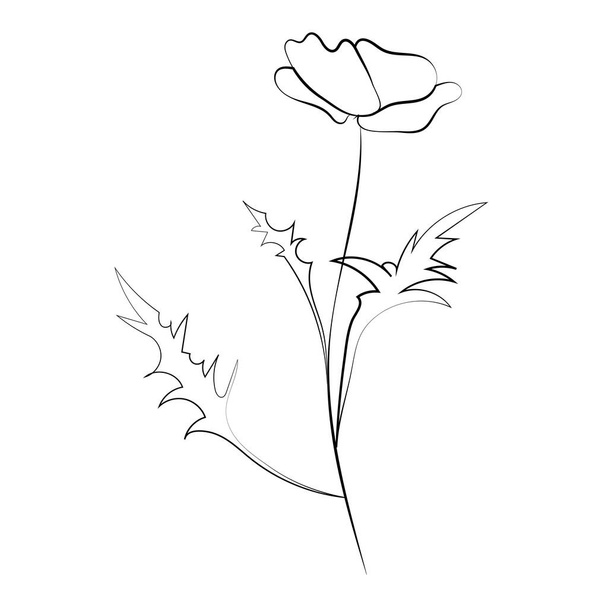 Poppy flower, line drawing. Wildflowers, outline floral design elements isolated on white background, - Vector, Image